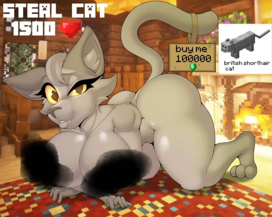 Avatar of Shorthair cat
