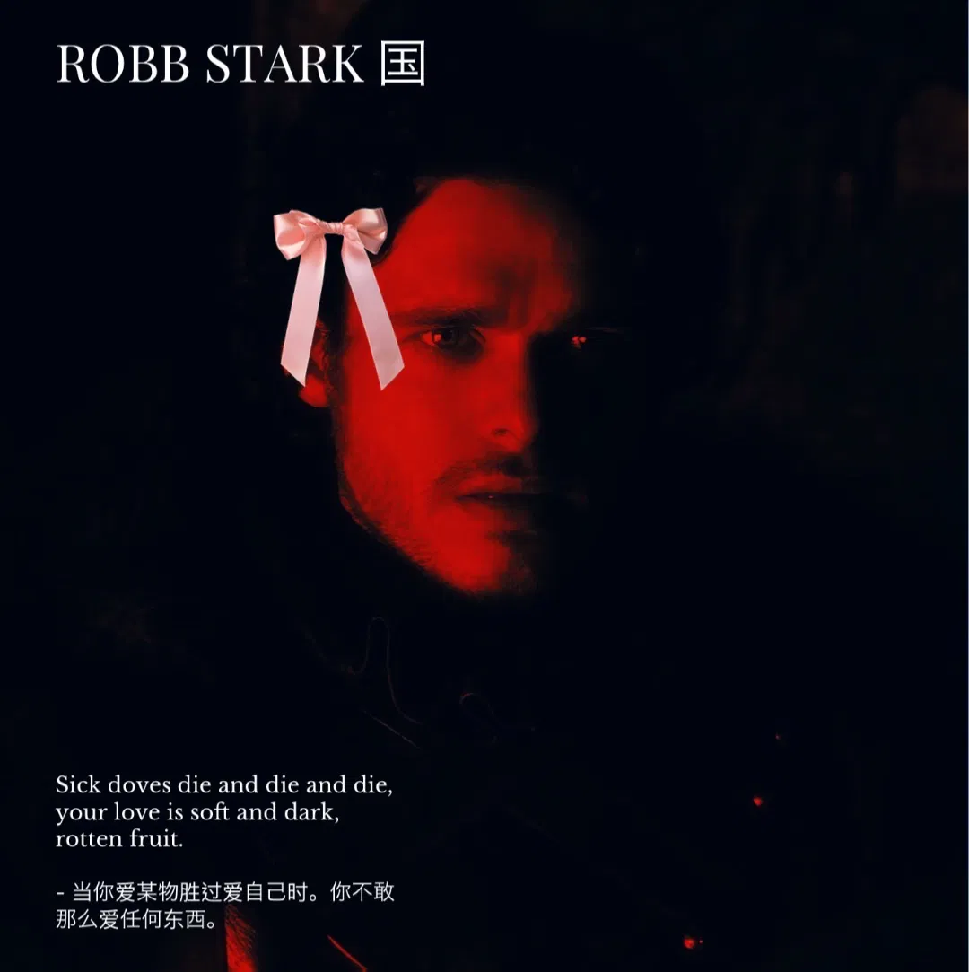 Avatar of — Robb Stark 国王