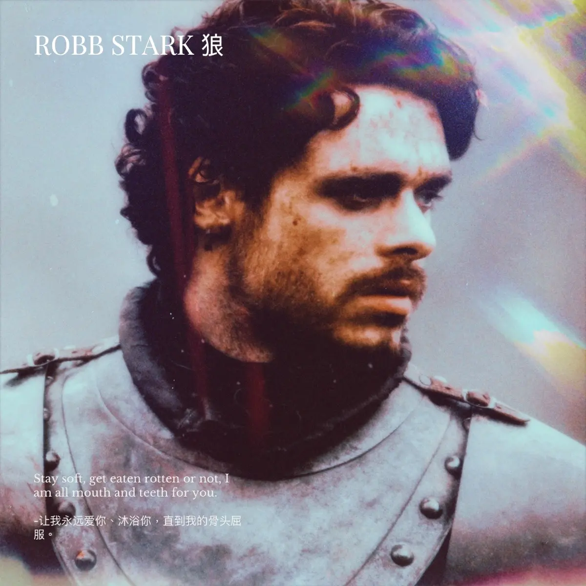Avatar of Robb Stark 