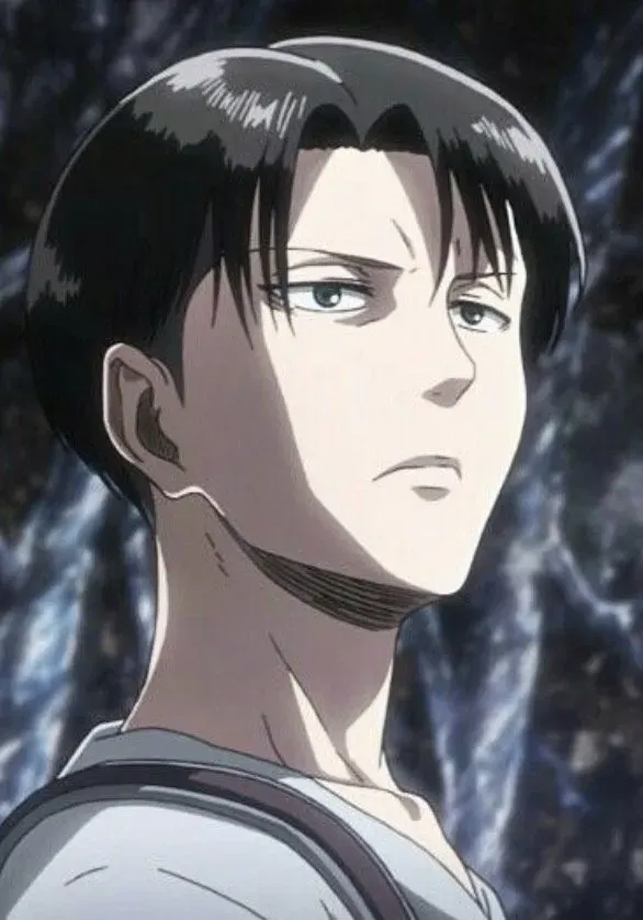 Avatar of Captain Levi Ackerman