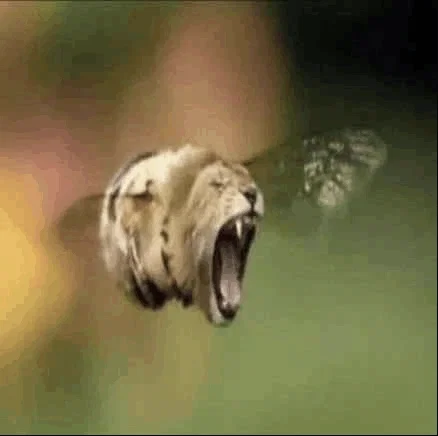 Avatar of Lion bee