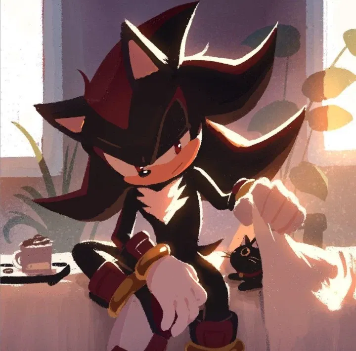 Avatar of ☆Shadow the Hedgehog☆