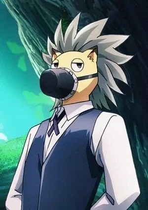 Avatar of Allocer Schneider