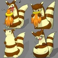 Avatar of Furret Vore