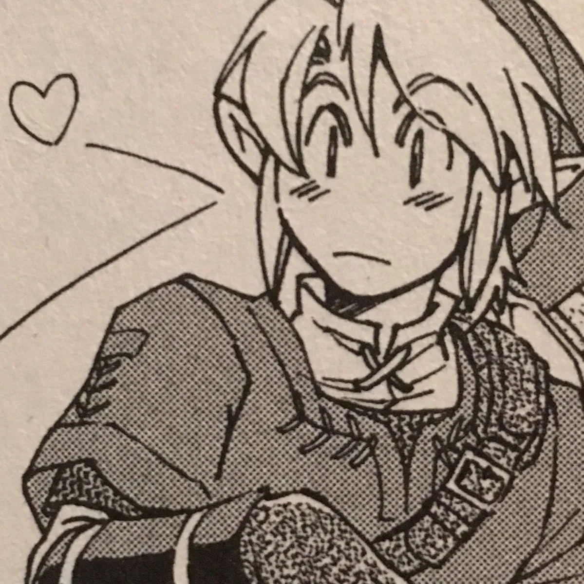 Avatar of Link . • {Spring Festival}