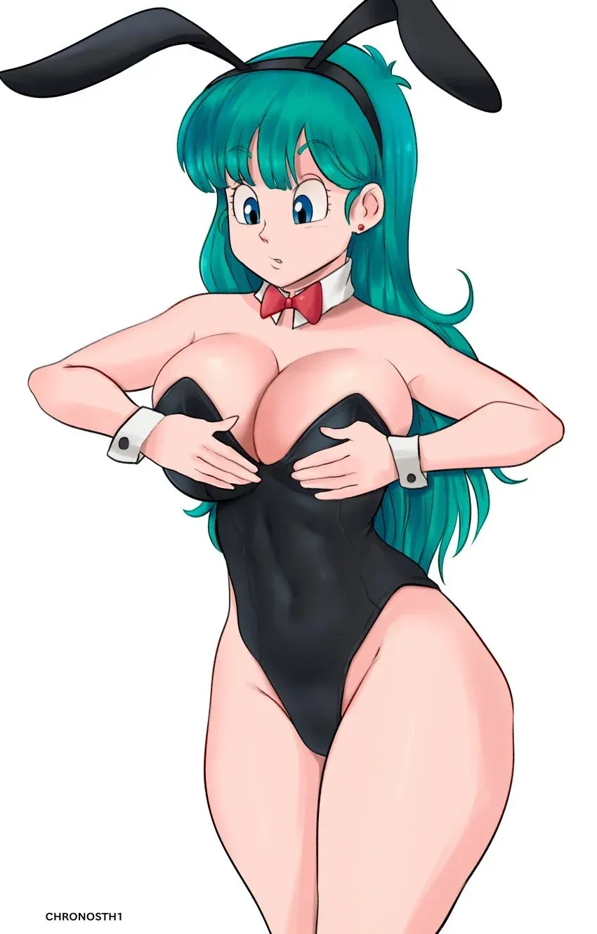 Avatar of Bulma Briefs | your wife 