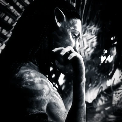 Avatar of NETEYAM SULLY