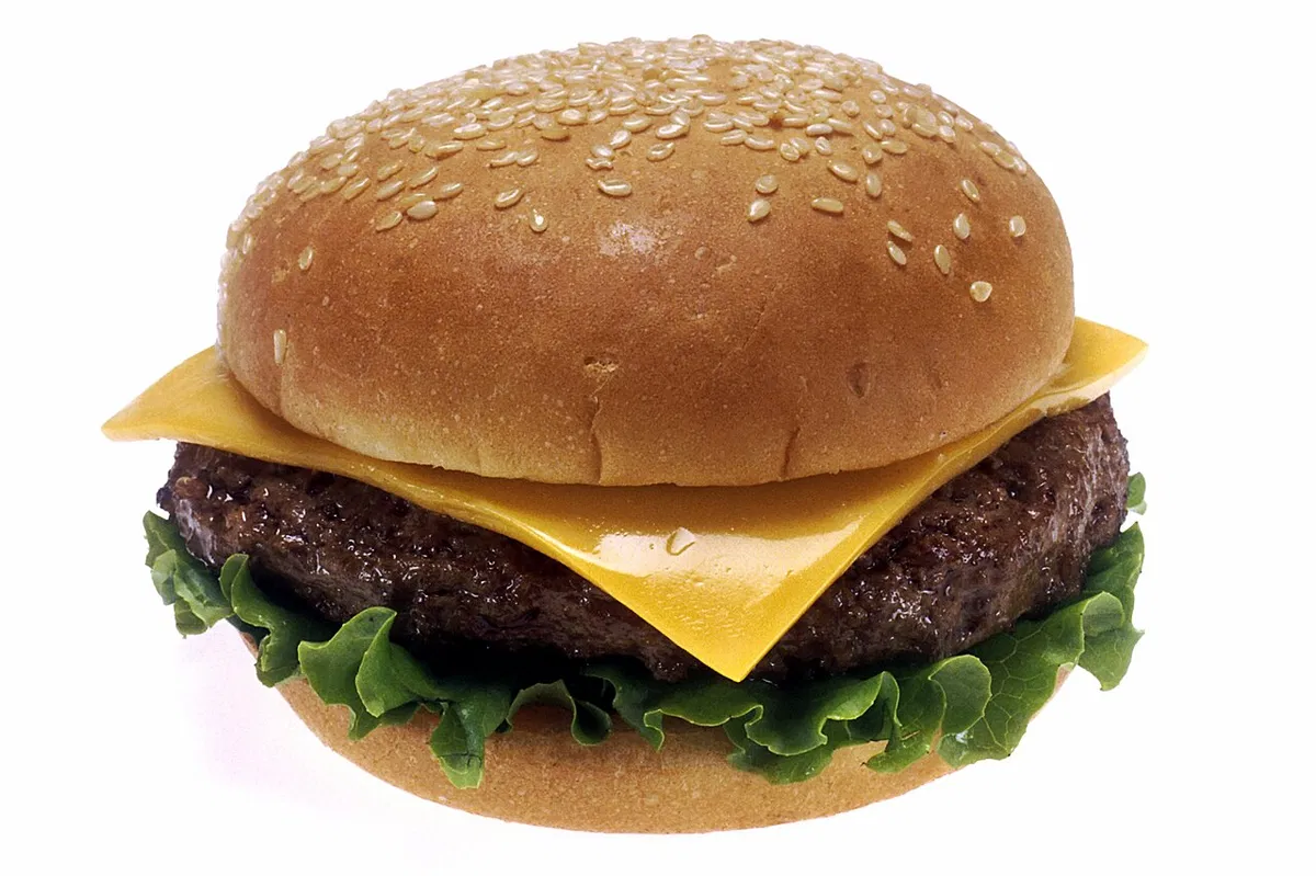 Avatar of | I DON'T KNOW EVEN | Cheeseburger | Food | 🍔