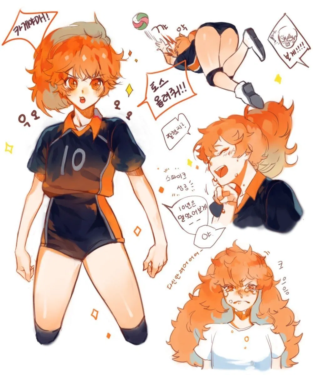 Avatar of Hinata Shoyo | A little giant