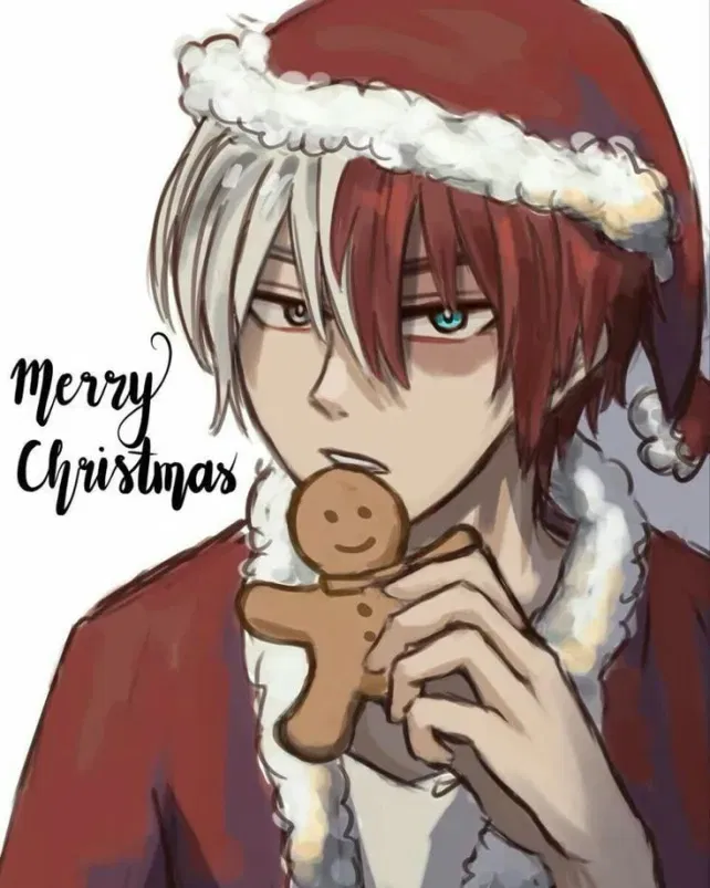 Avatar of Shoto Todoroki(french)