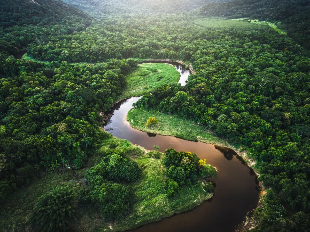 Avatar of Iara | Unexpected discovery in the Amazon rainforest 