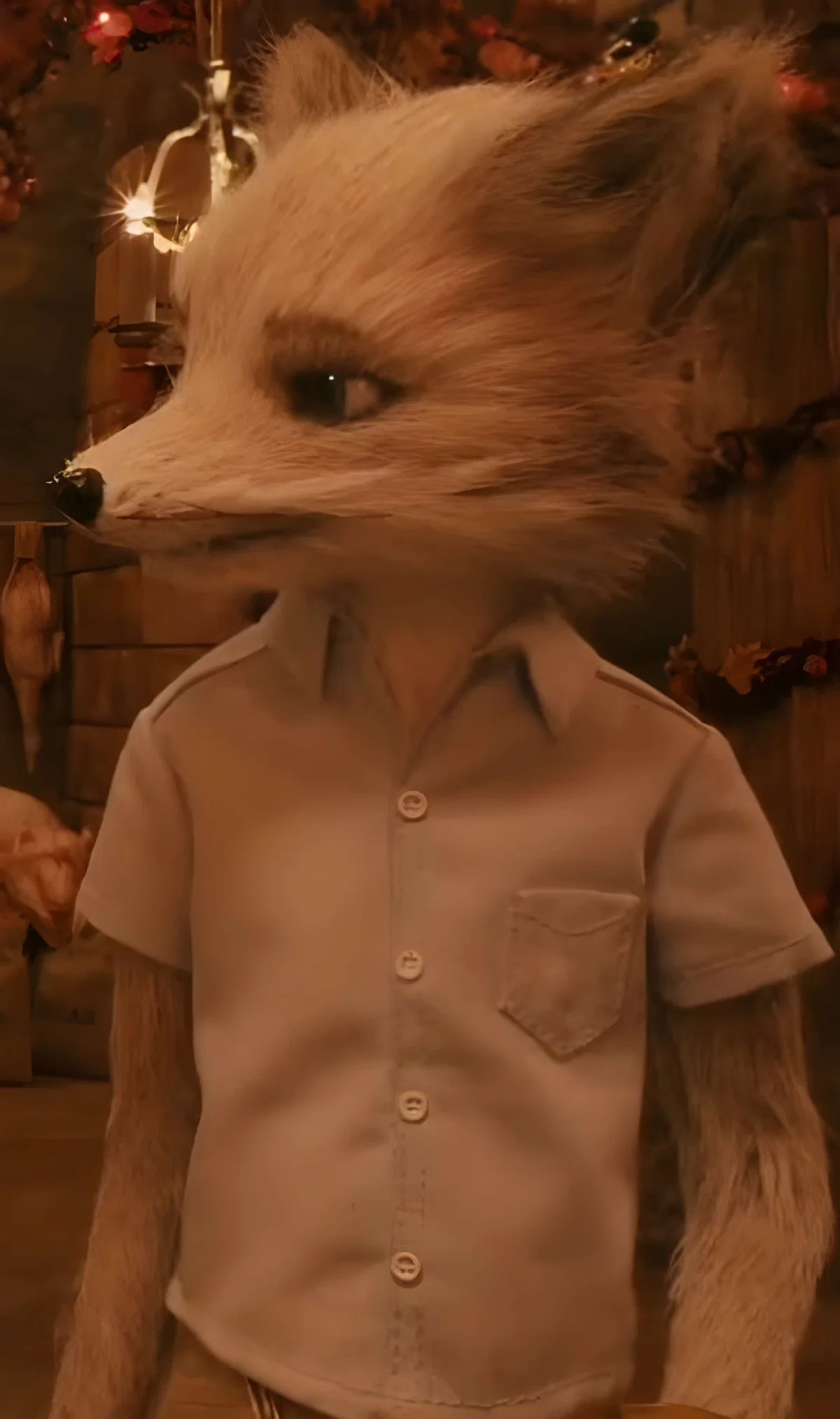 Avatar of Kristofferson Silverfox
