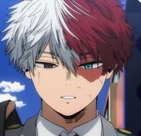 Avatar of Shoto todoroki