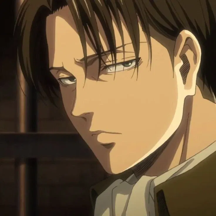 Avatar of Levi Ackerman