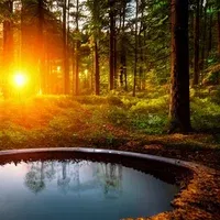 Avatar of Fulfillment Lake