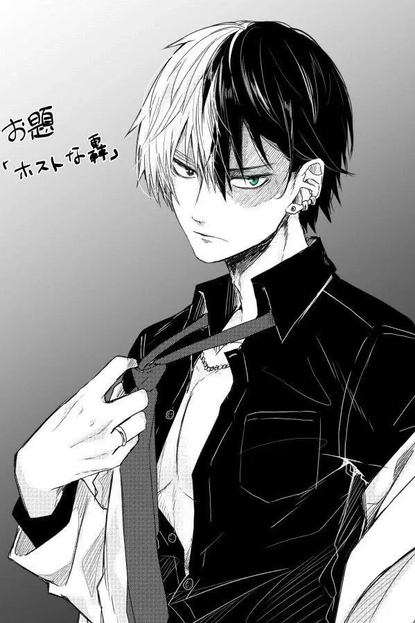 Avatar of Shoto Todoroki
