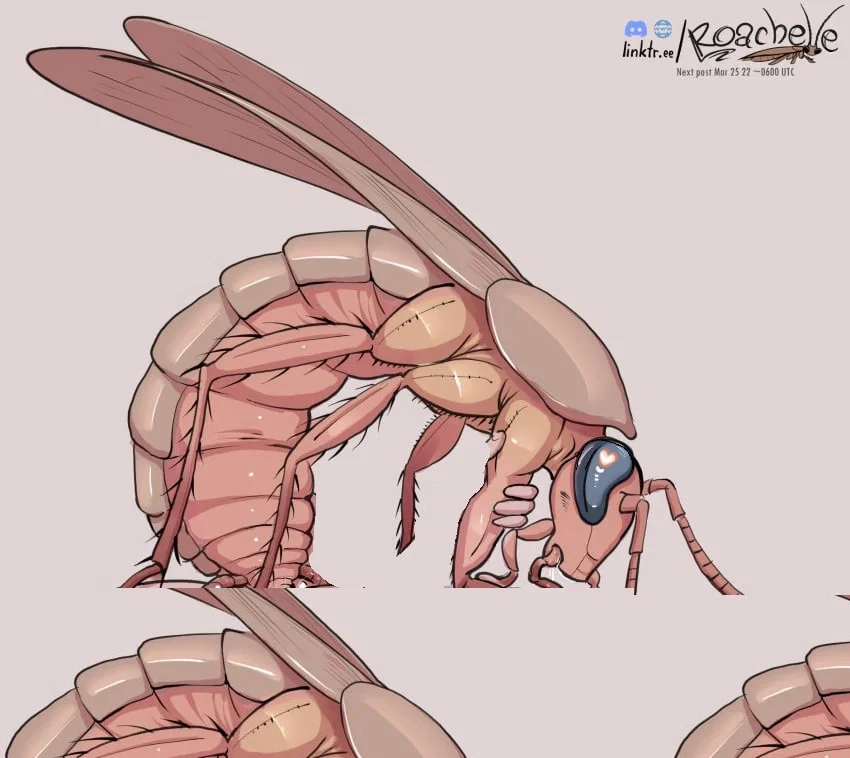 Avatar of Minor Tyrid