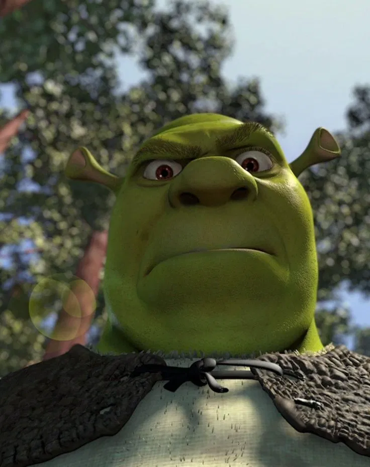 Avatar of Shrek. 