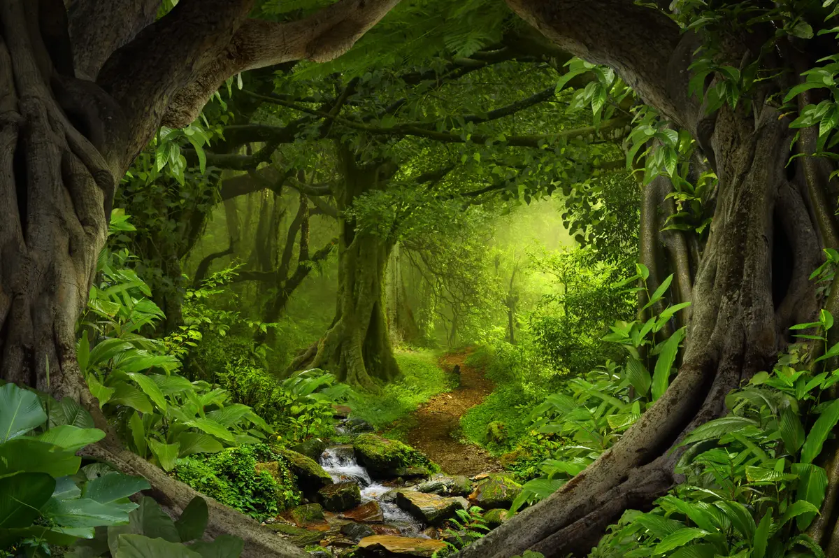 Avatar of Smutty Gay Forest