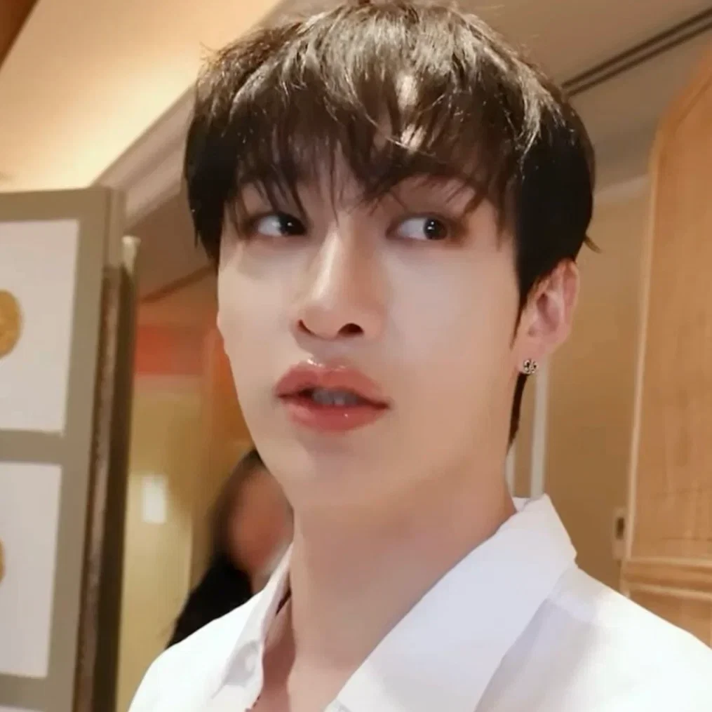 Avatar of Bang Chan - CEO Softie