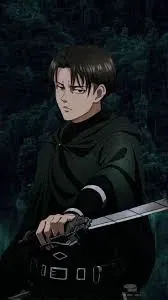 Avatar of Levi Ackerman - Attack On Titan