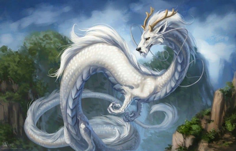 Avatar of Dragon Reincarnation