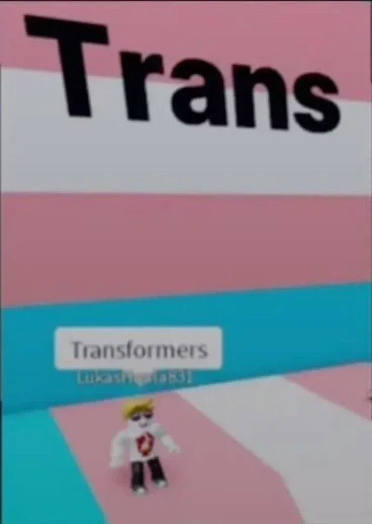 Avatar of Roblox core be like: 