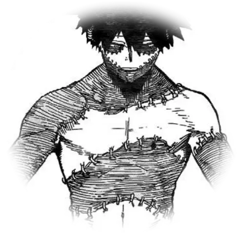 Avatar of touya todoroki