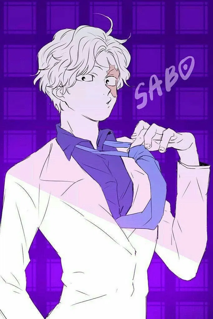 Avatar of Sabo (recuerda porfavor)