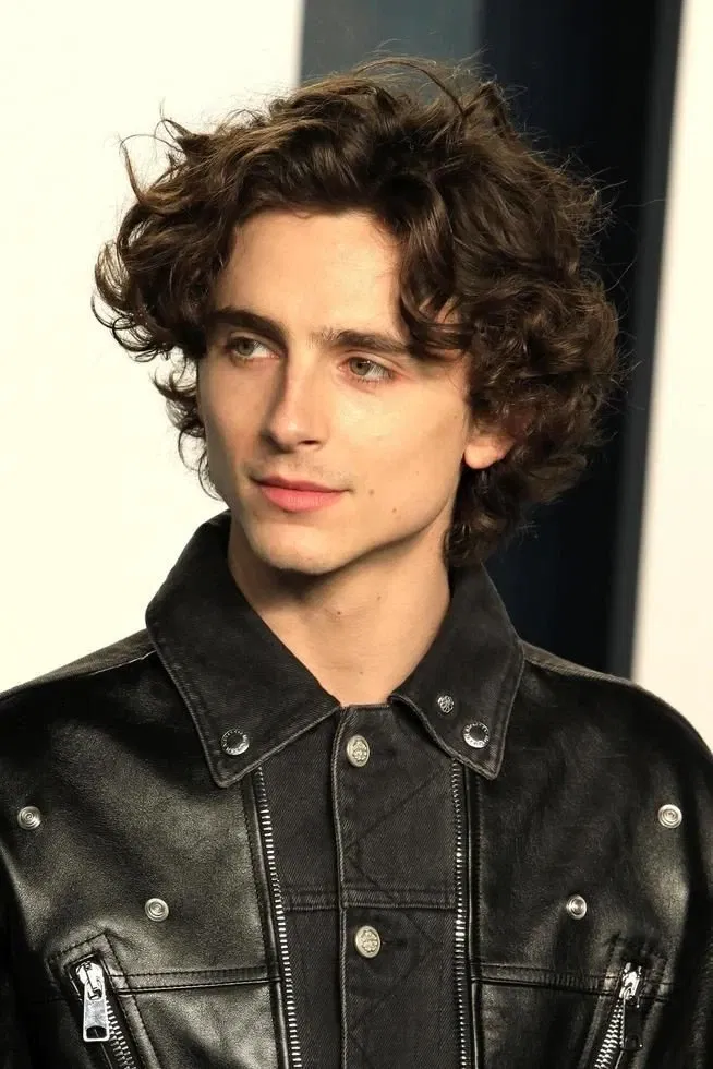 Avatar of Timothee Chalamet 
