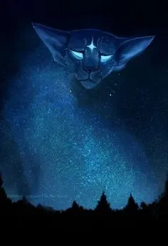 Avatar of Be a warrior.