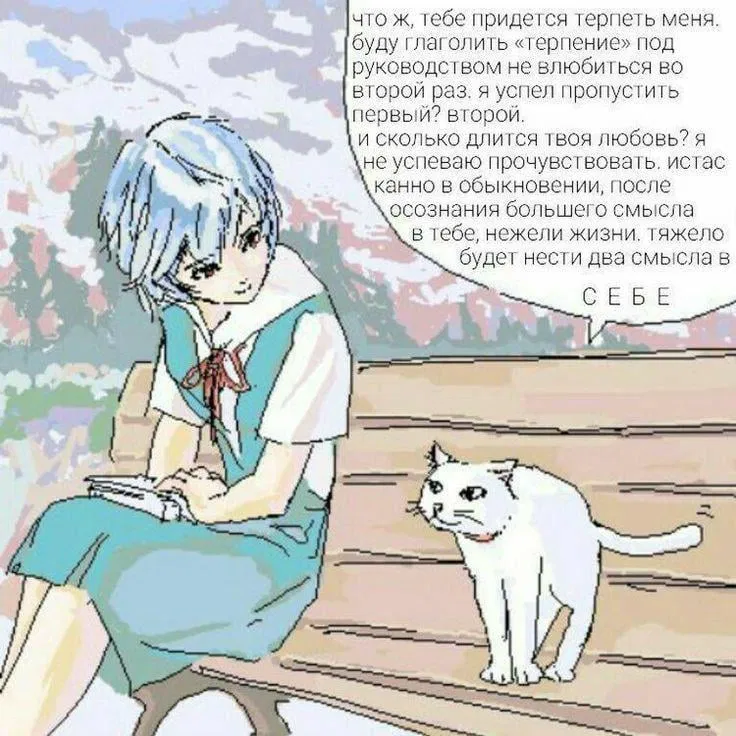 Avatar of No bot today,