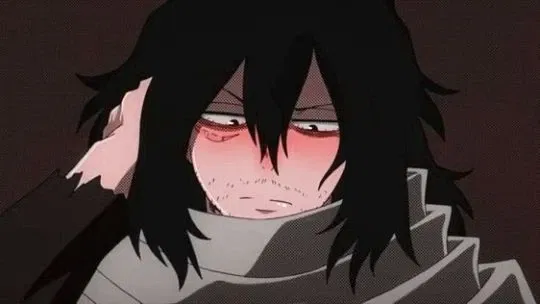 Avatar of Shota Aizawa