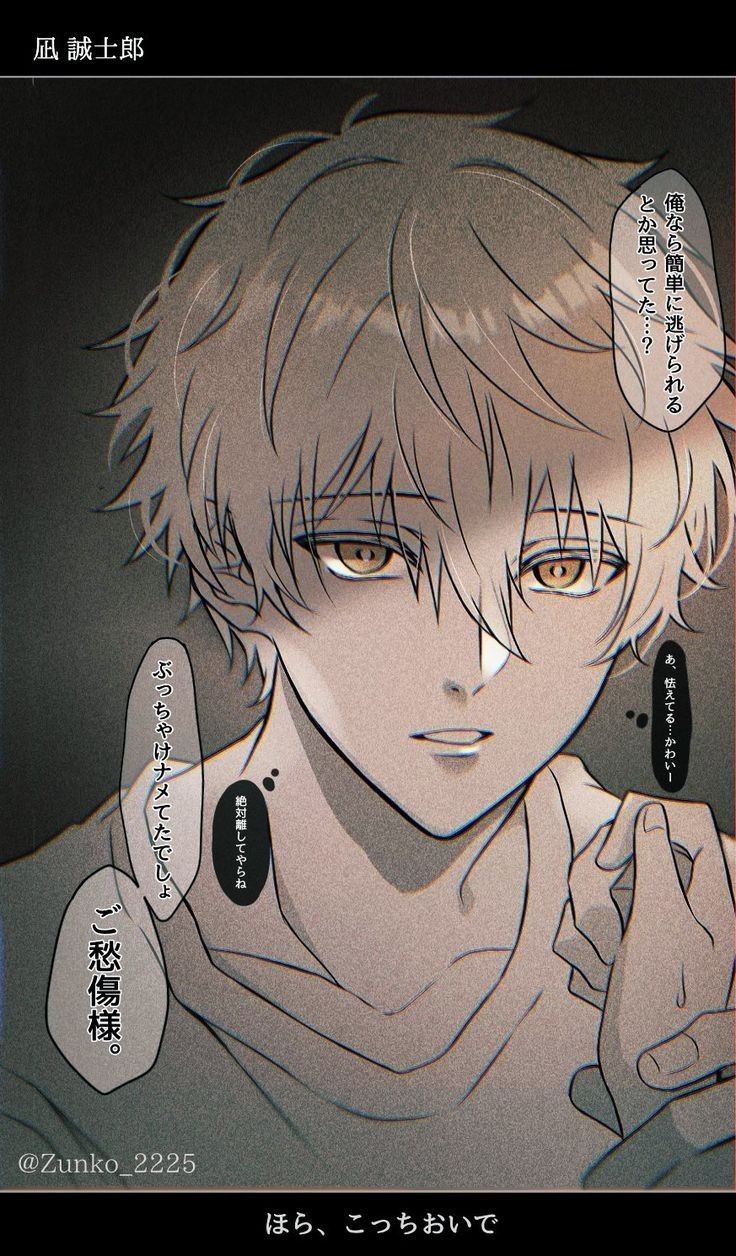 Avatar of Nagi Seishiro 