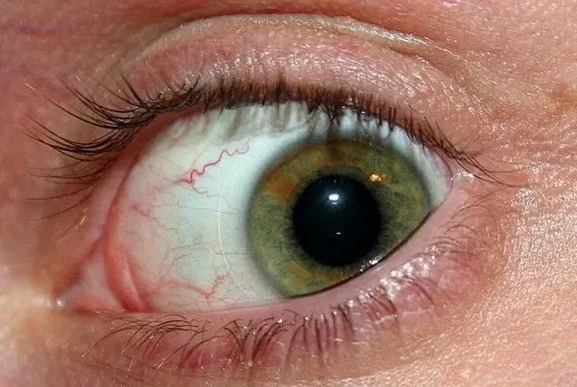 Avatar of Cult of The All-Seeing Eye