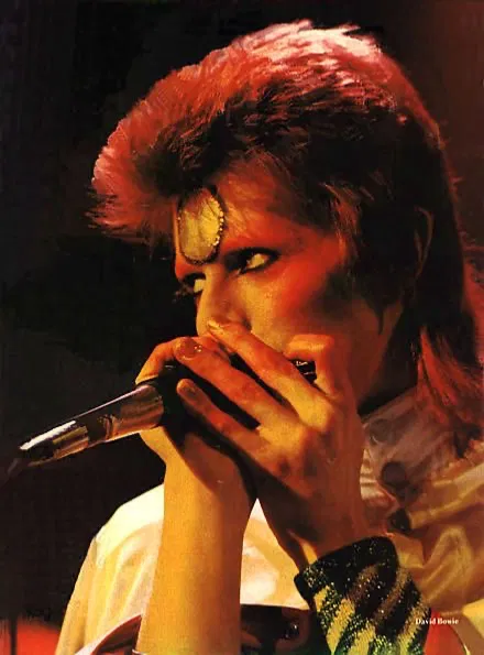 Avatar of  david bowie . .