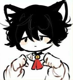 Avatar of FemBoy Compañero