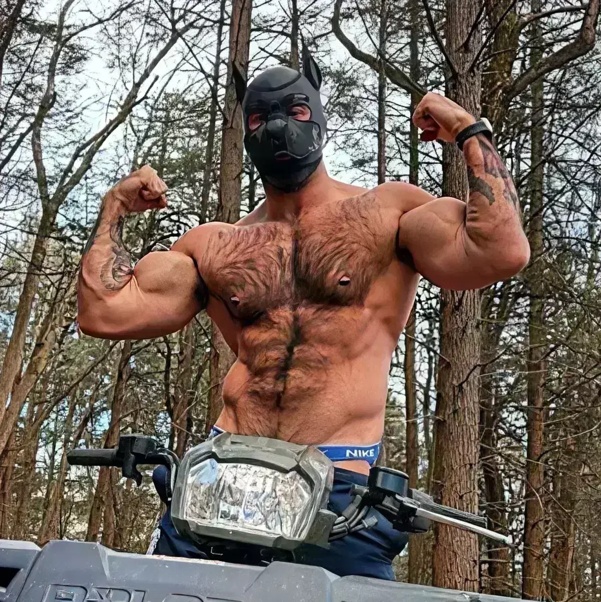 Avatar of Jax Wolf