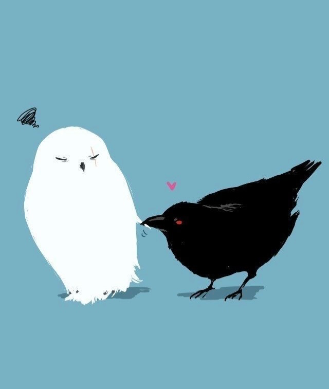 Avatar of Snowy Owl and Crow