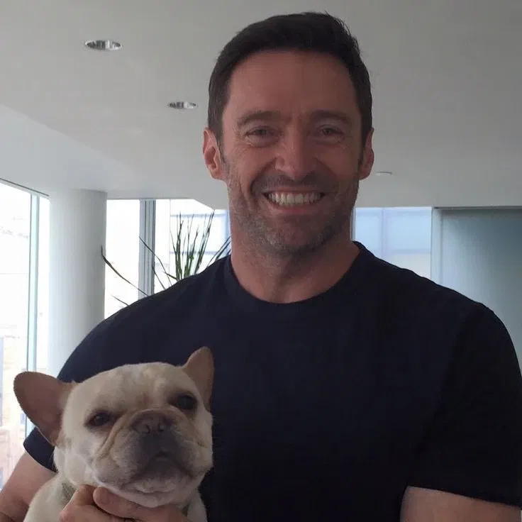 Avatar of Hugh Jackman 