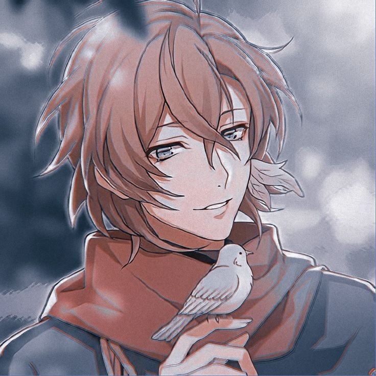 Avatar of Gentaro