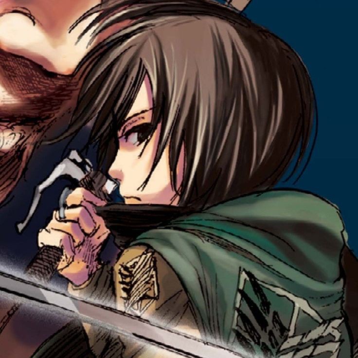 Avatar of Mikasa Ackerman