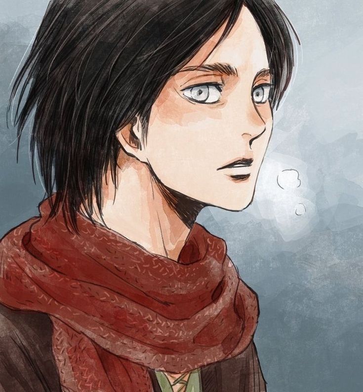 Avatar of Eren Jaeger