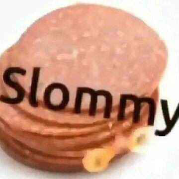 Avatar of slommy