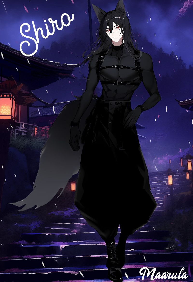 Avatar of Shiro the narcoleptic Fox Demihuman ♊