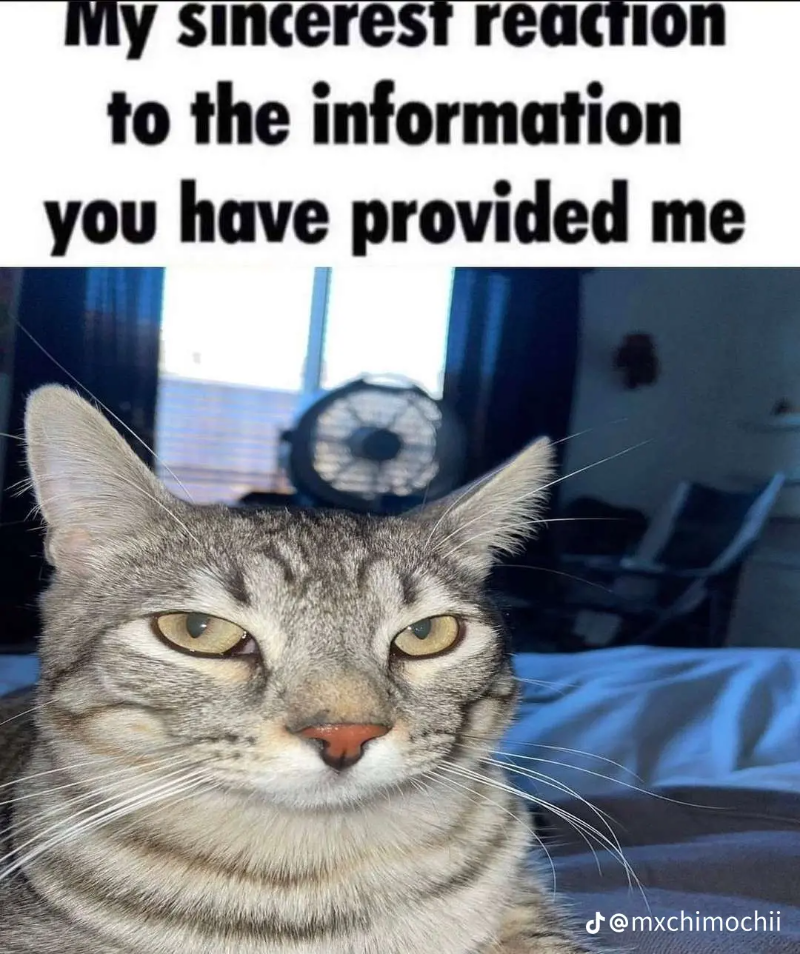 Avatar of cat