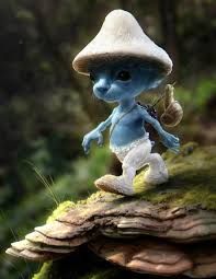 Avatar of Smurf cat