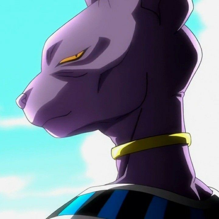 Avatar of Beerus 