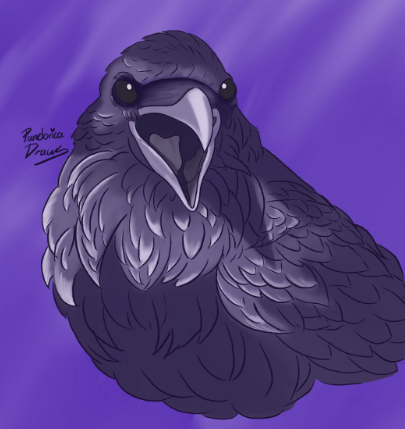 Avatar of Bird for task force 141