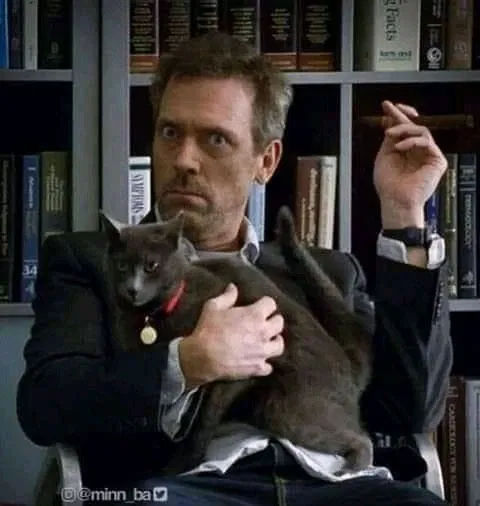 Avatar of Gregory House || Follower Cat